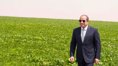 التنمية الزراعية