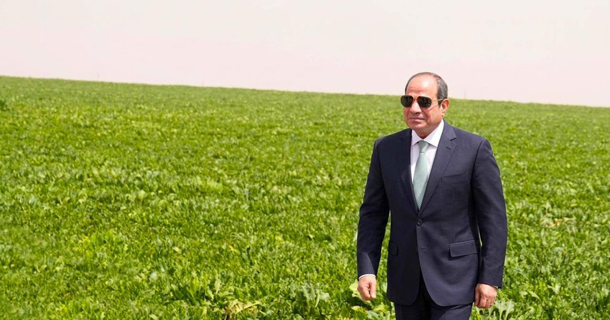 التنمية الزراعية