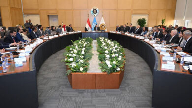 التنمية الصناعية