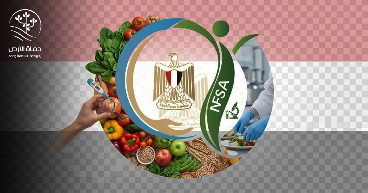 الصحة العامة