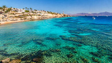 التحول الأخضر