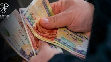 زيادة المعاشات