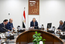 الكتان المصري