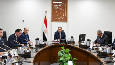الكتان المصري