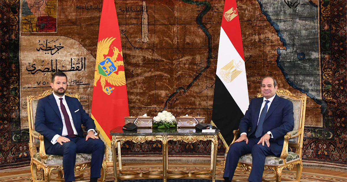 مباحثات مصرية مونتينيجرية لتعزيز التعاون
