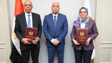 العمل اللائق