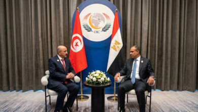العلاقات المصرية التونسية