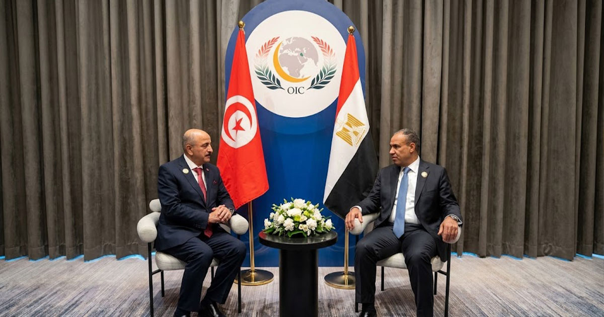 العلاقات المصرية التونسية