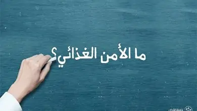 ما الأمن الغذائي